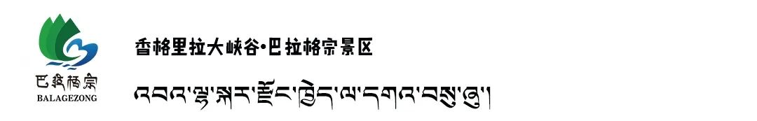 迪庆日报传媒