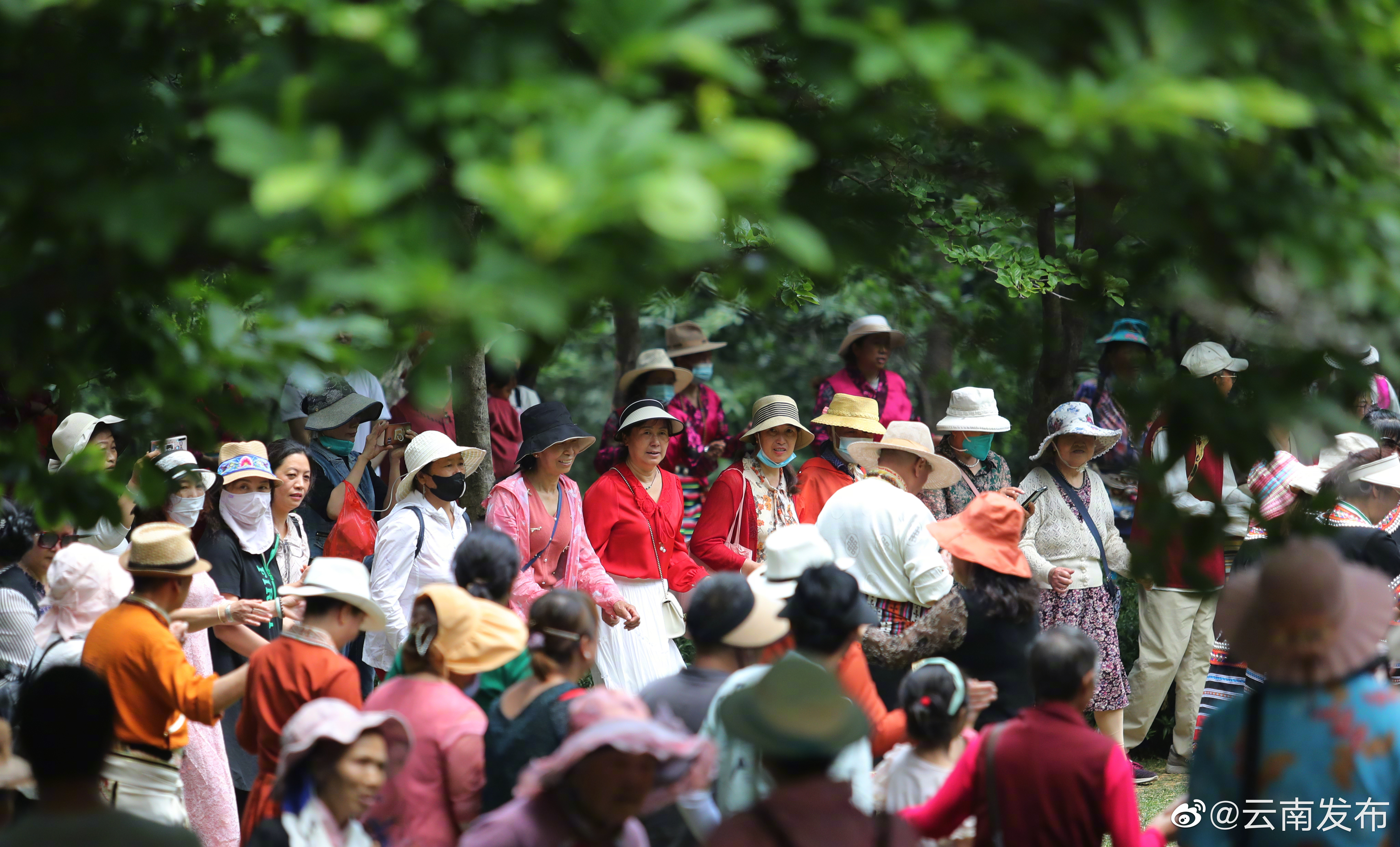 五一假期云南预测接待游客将超3000万人次