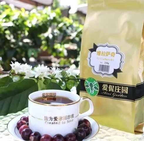 普洱日报