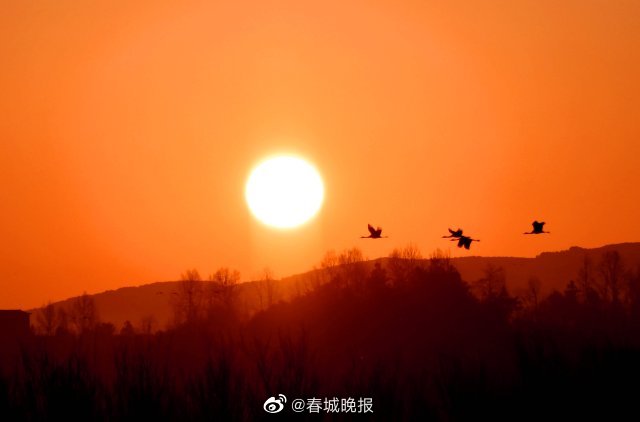 春城晚报