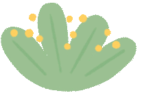 西双版纳望天树景区