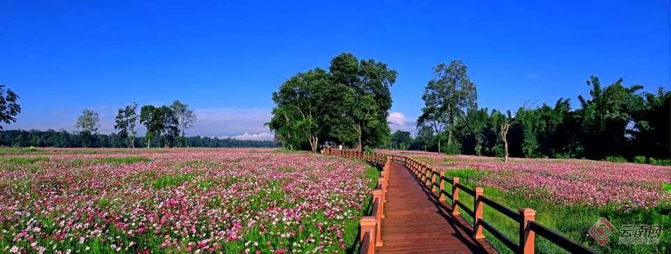 保山新闻网