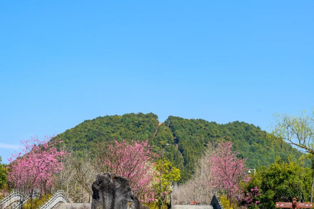 保山广播电视台
