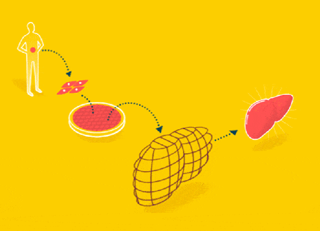 昆明市西山区发布