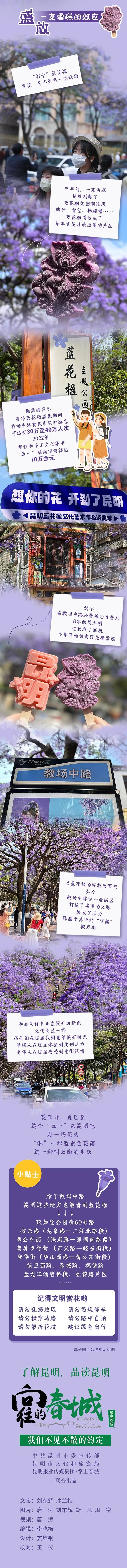 掌上春城