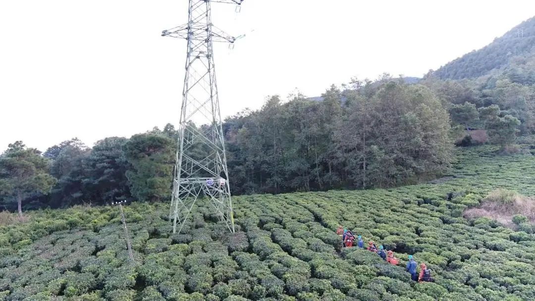 大理电视台