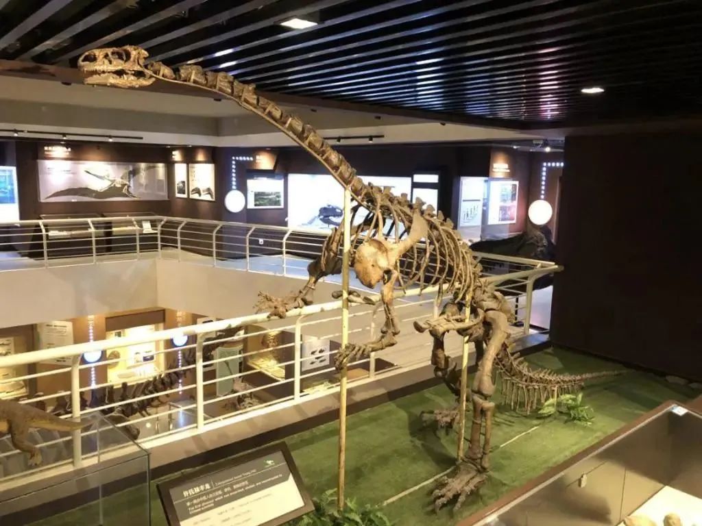 云南省文化和旅游厅