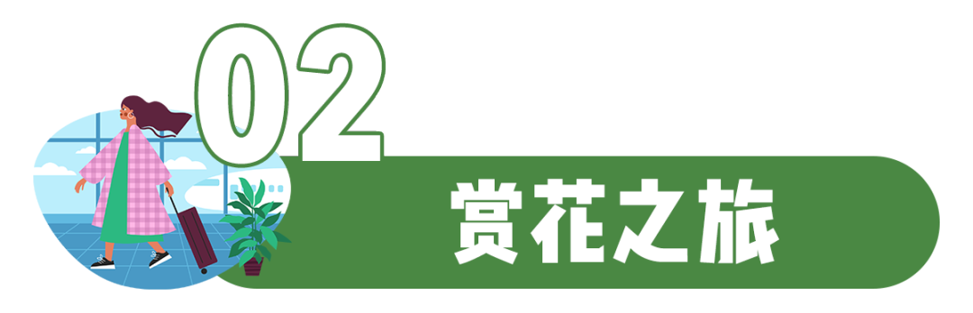 昆明文旅