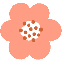 西双版纳望天树景区