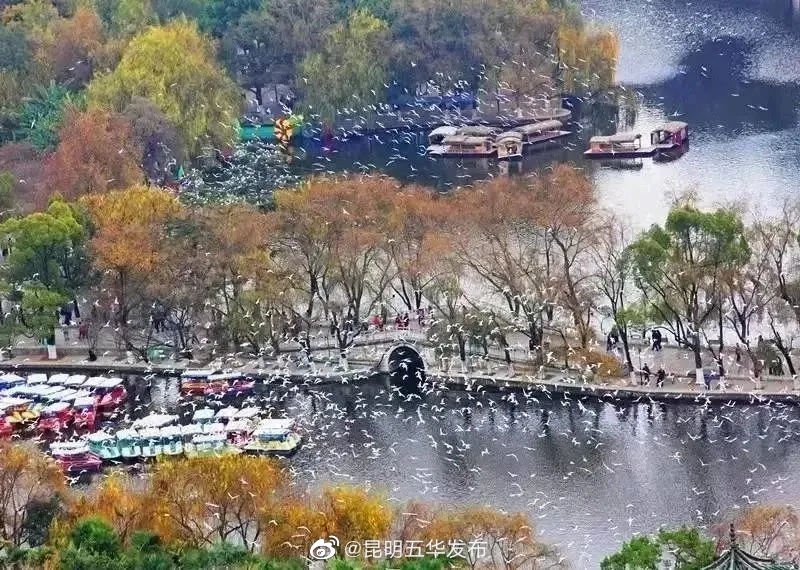 昆明五华发布