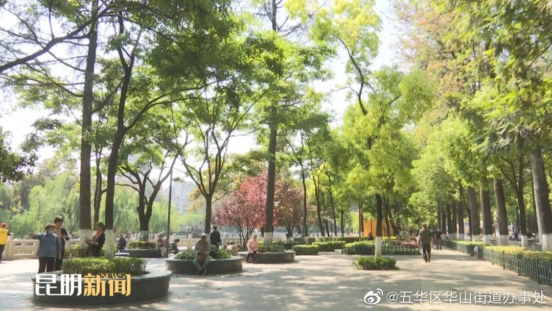 五华区华山街道办事处