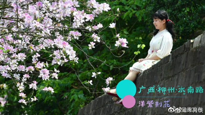 呈贡发布