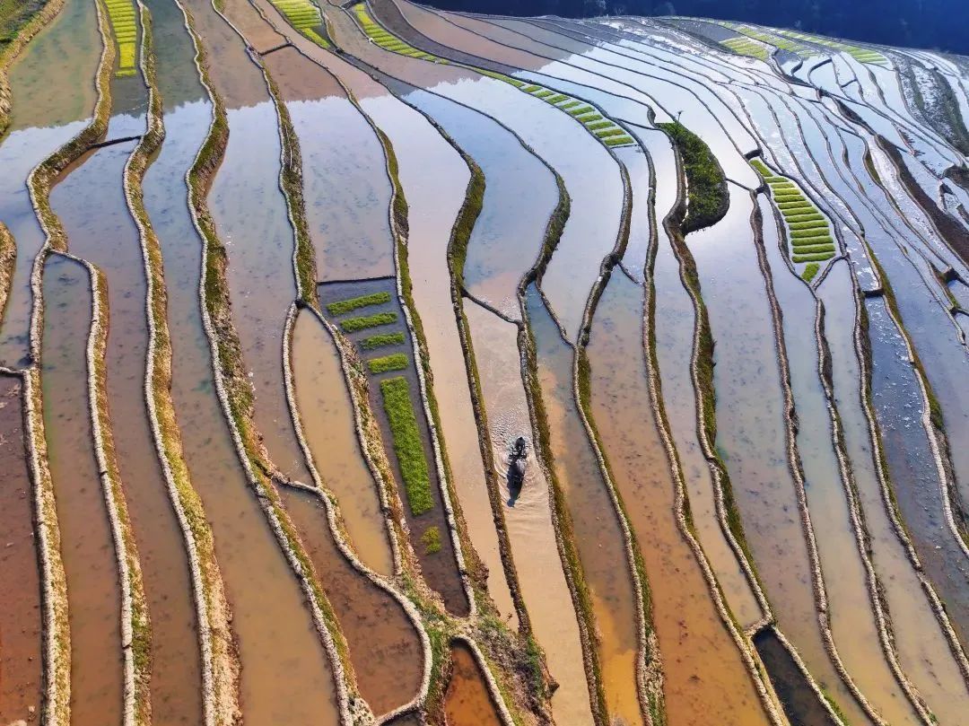 云南省文化和旅游厅