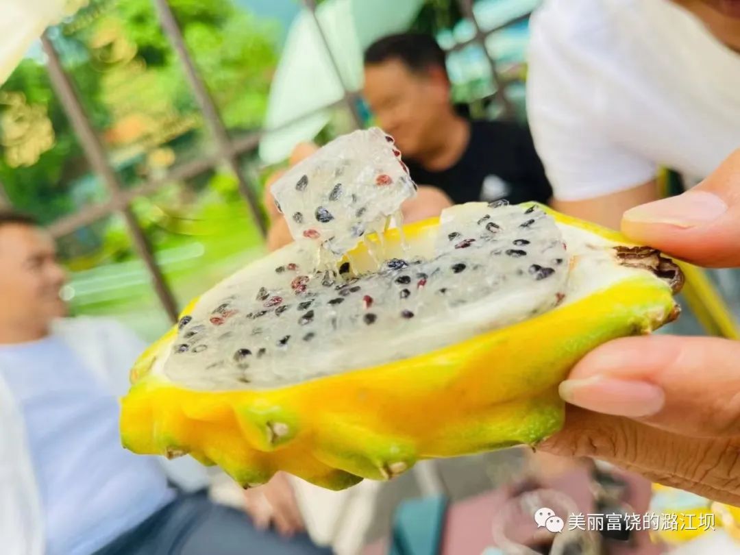 保山新闻网