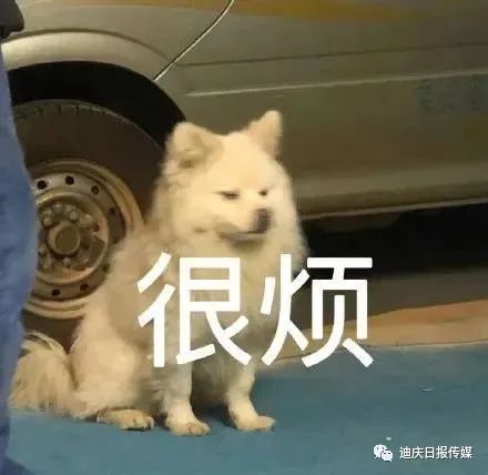 迪庆日报传媒