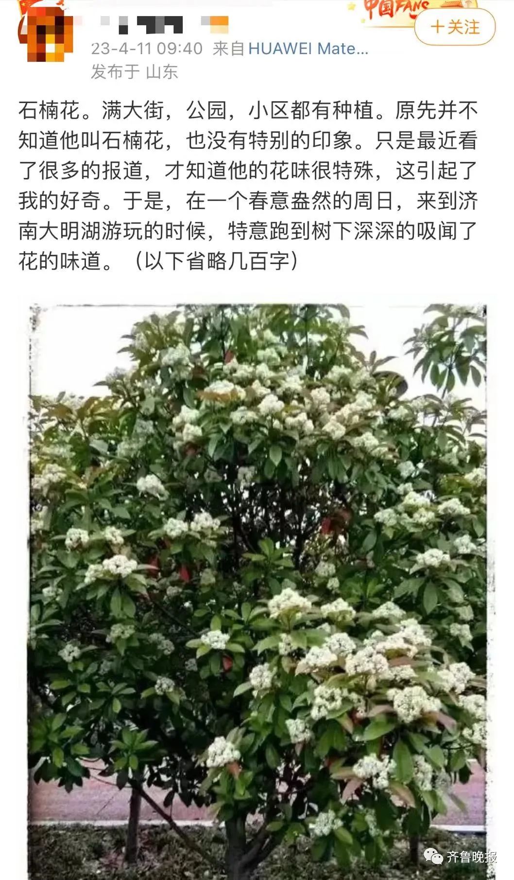 春城晚报