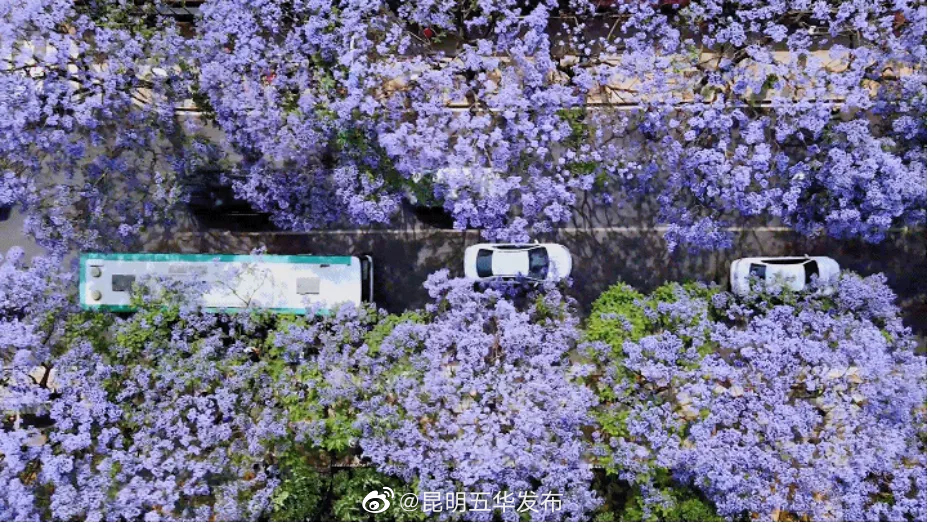 昆明五华发布