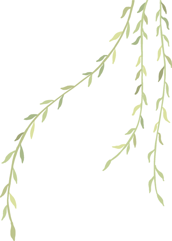 云南中医药大学第二附属医院