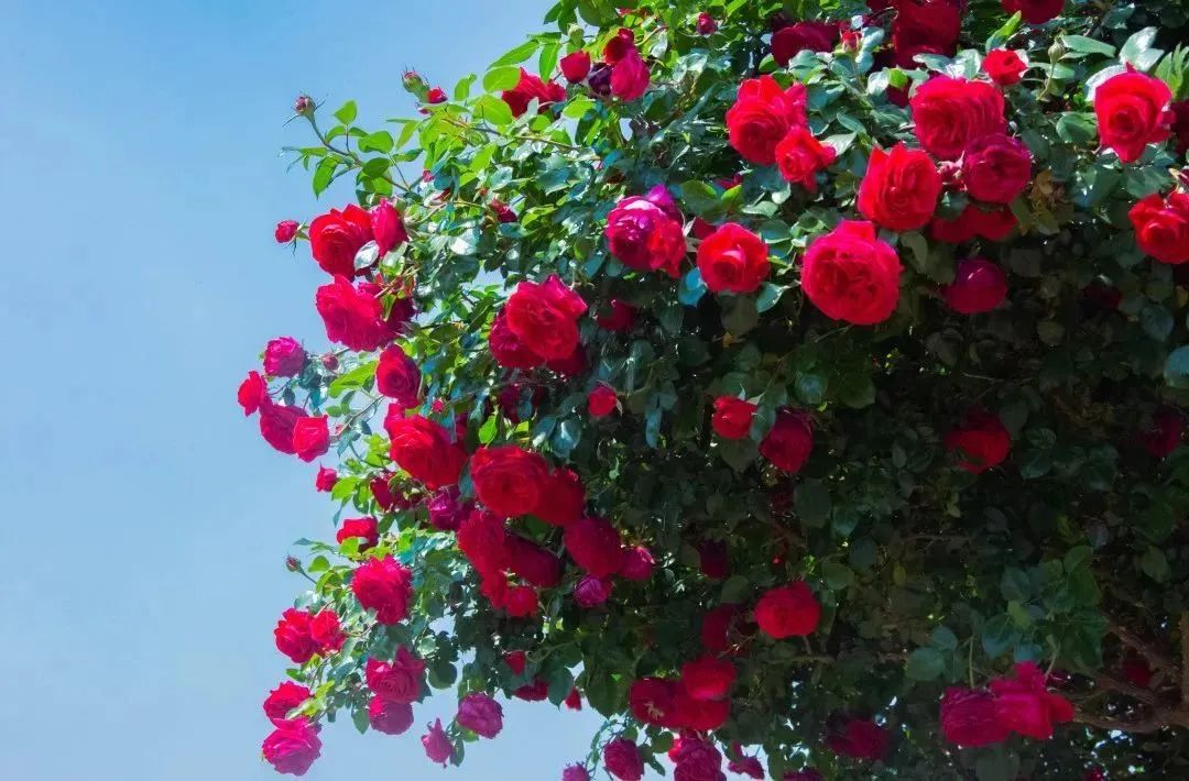 晋宁诗意的栖居地