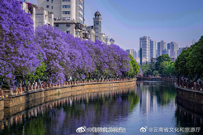 昆明盘龙发布