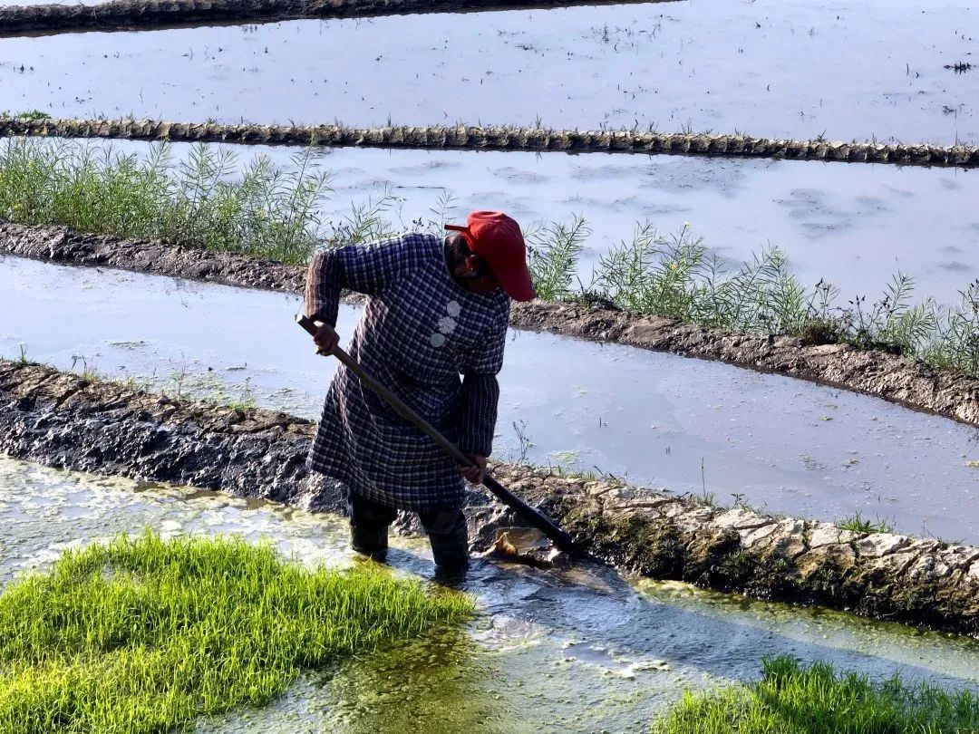 云南省文化和旅游厅