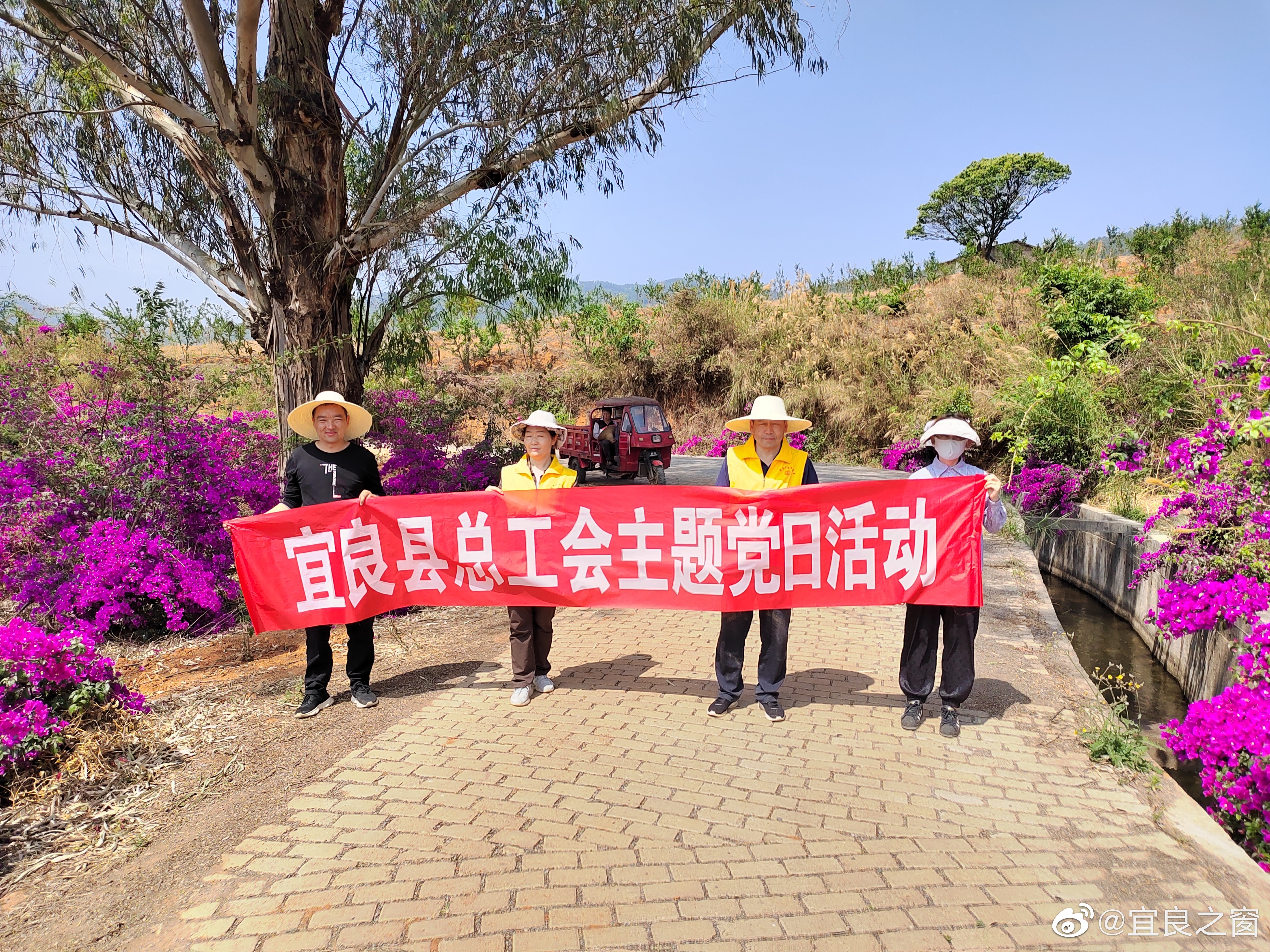 宜良之窗
