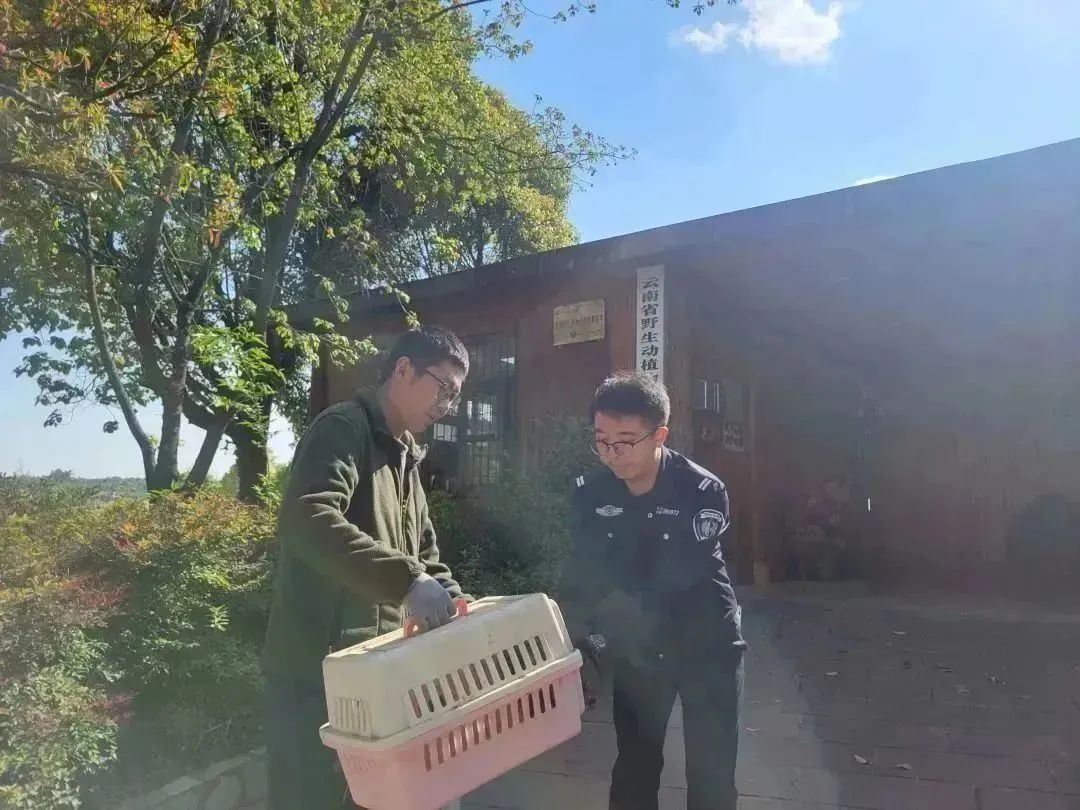 呈贡发布