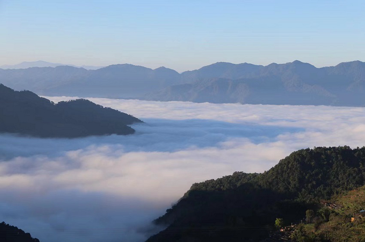 云南省文化和旅游厅