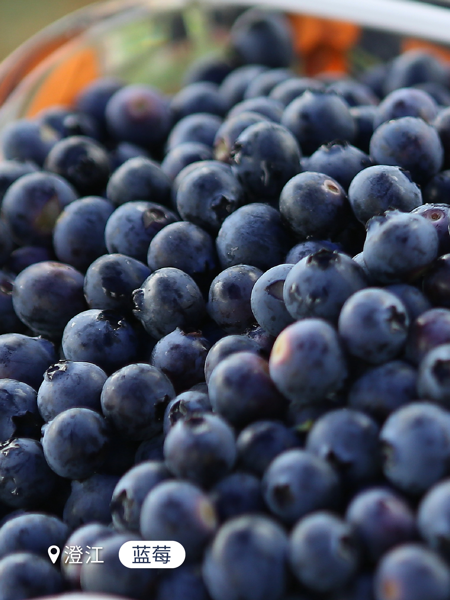 云南省文化和旅游厅