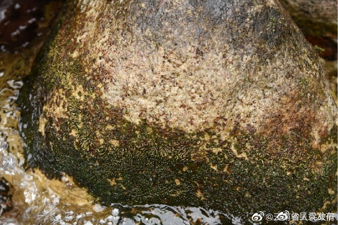 呈贡发布