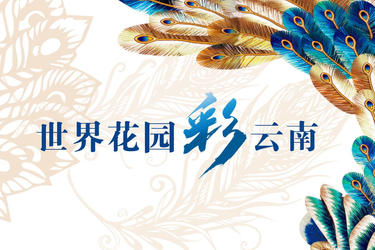 云南省文化和旅游厅