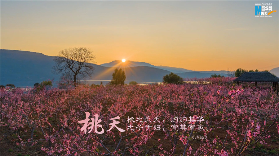 云南省文化和旅游厅