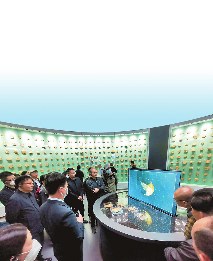 澄江化石地世界自然遗产博物馆受欢迎