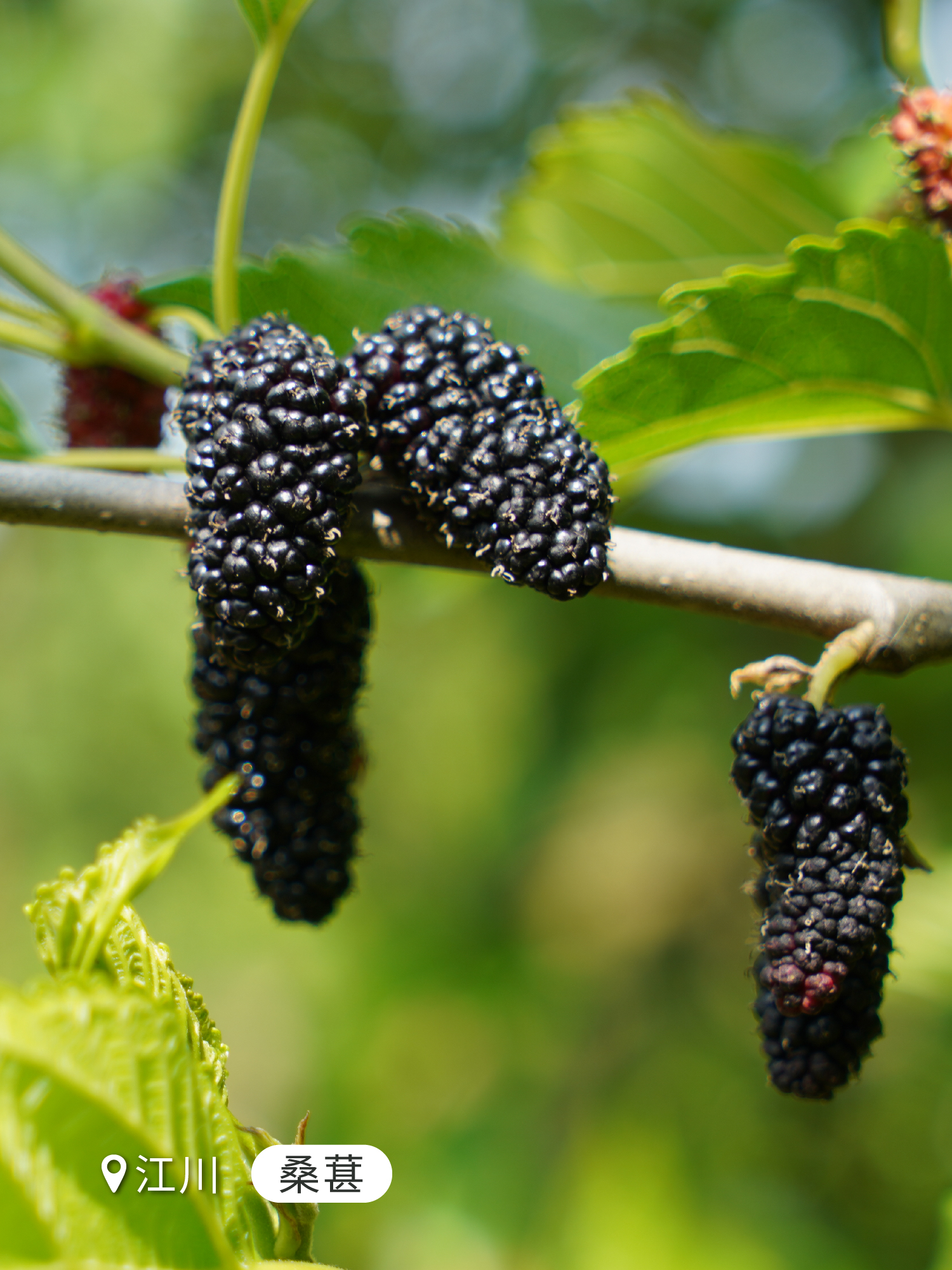 云南省文化和旅游厅