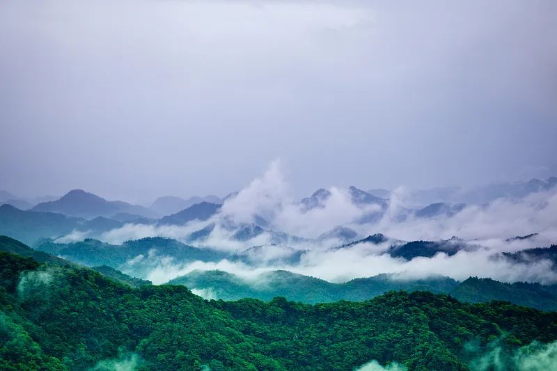 美丽云南微科普