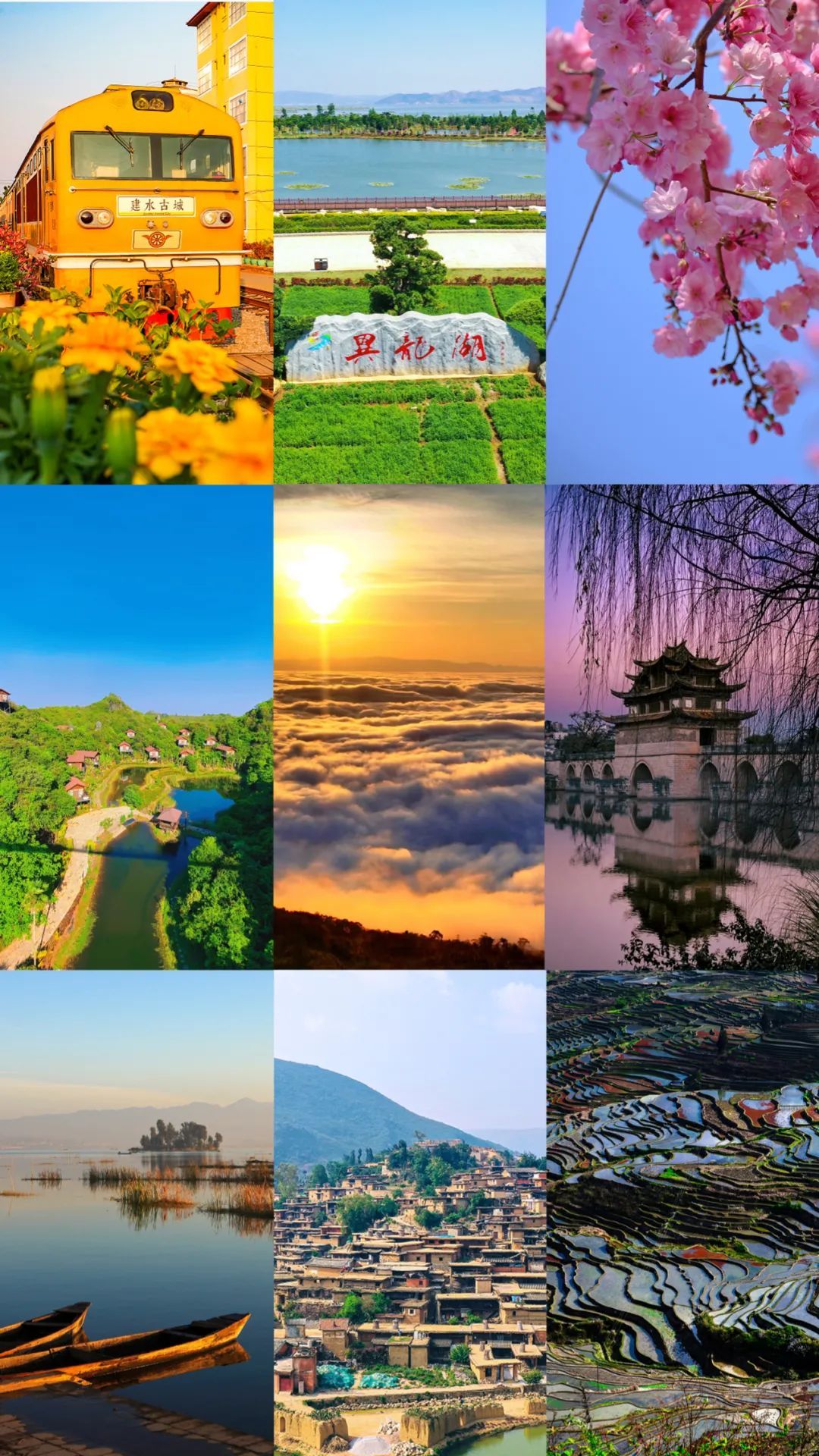 云南省文化和旅游厅