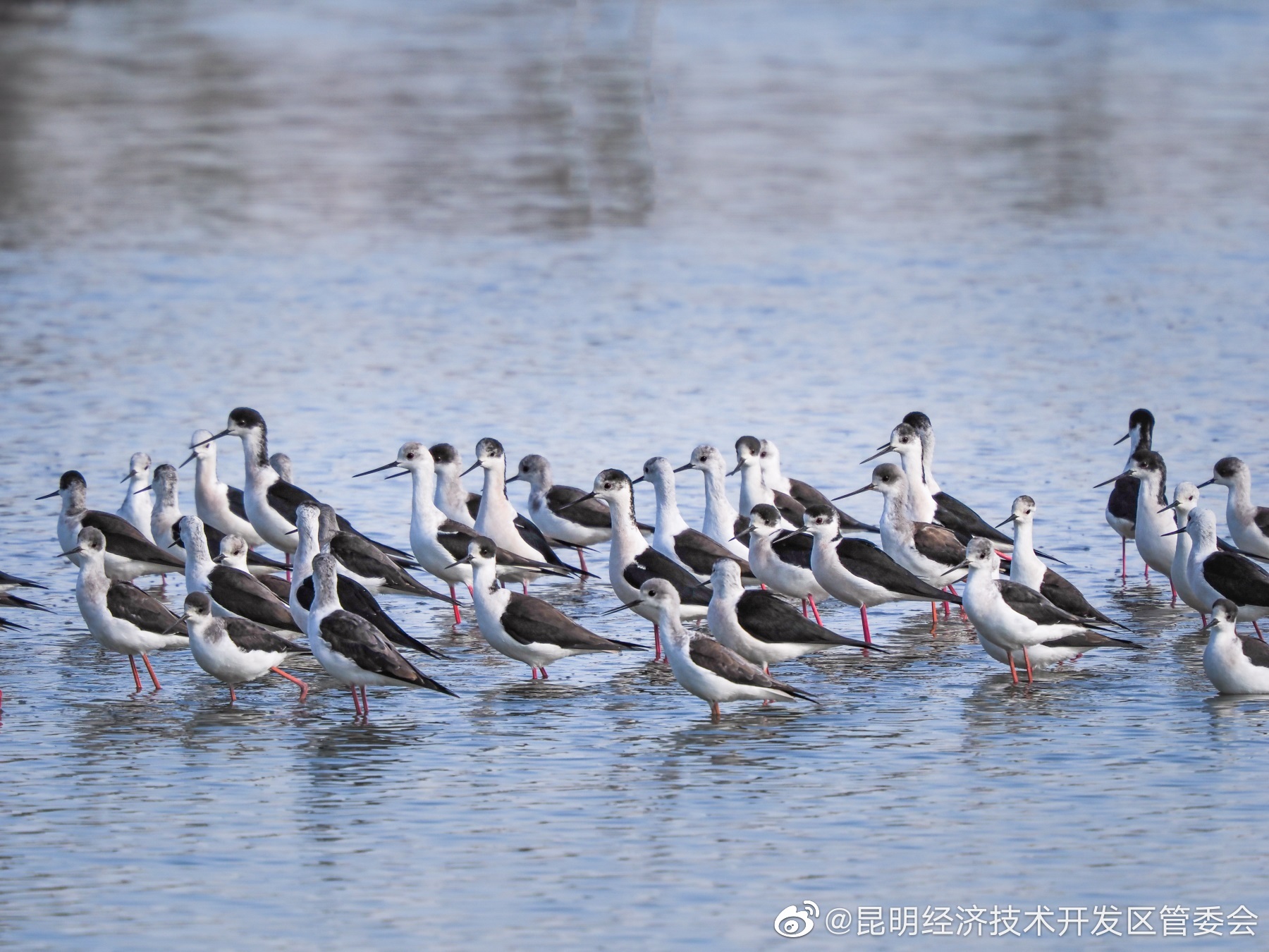 昆明经济技术开发区管委会