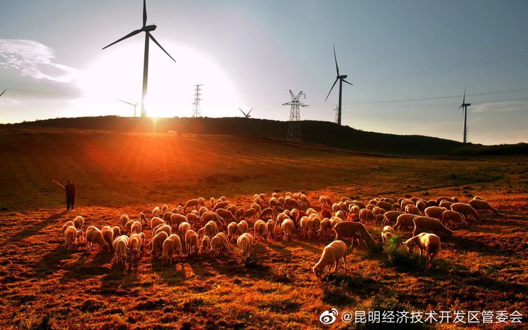 昆明经济技术开发区管委会