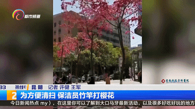 昆明信息港/cnkmxxg