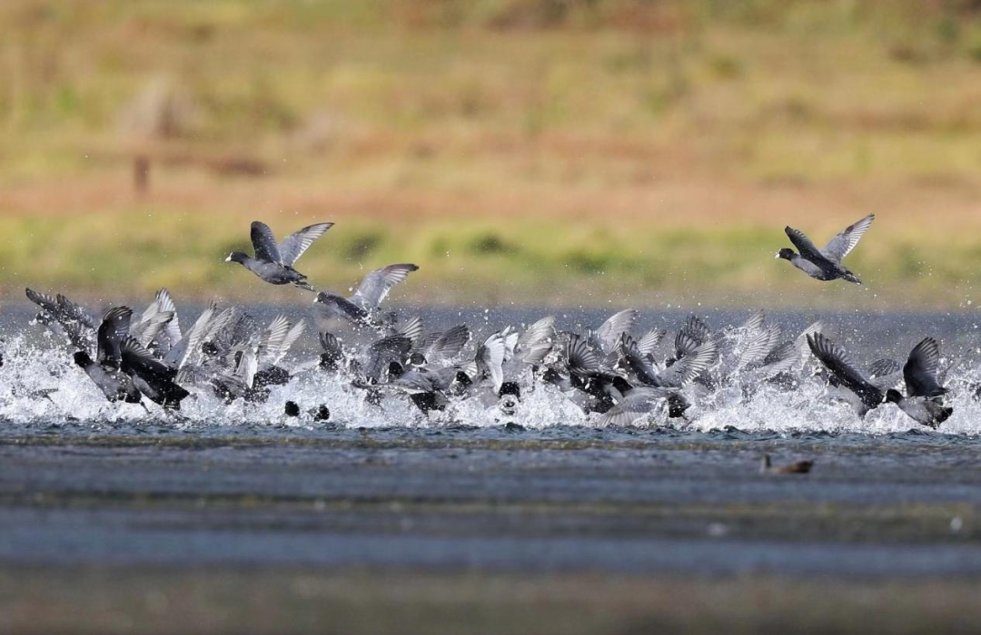 云南省文化和旅游厅