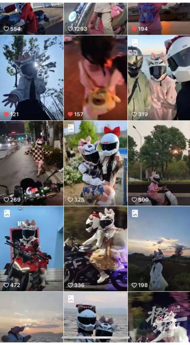 春城晚报