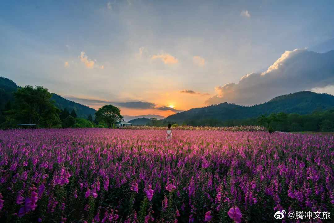 腾冲文旅