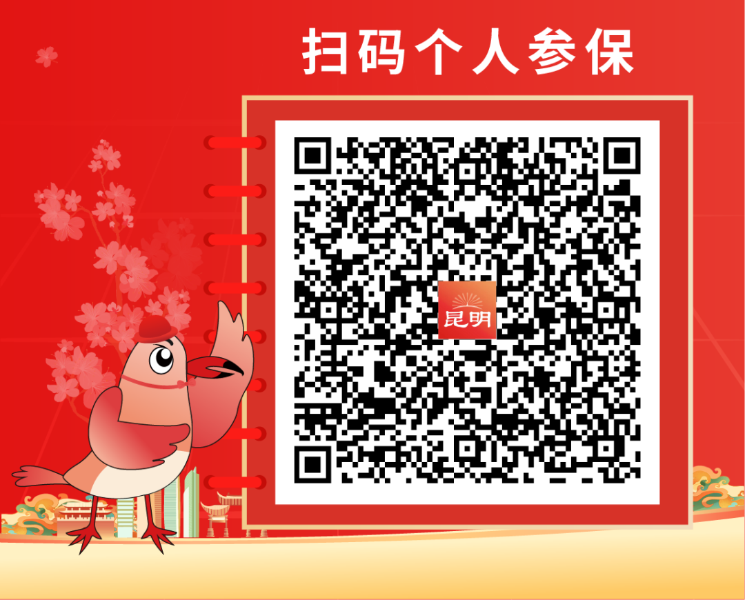 昆明信息港/cnkmxxg