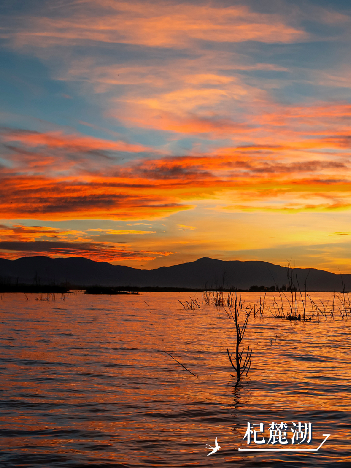 云南省文化和旅游厅
