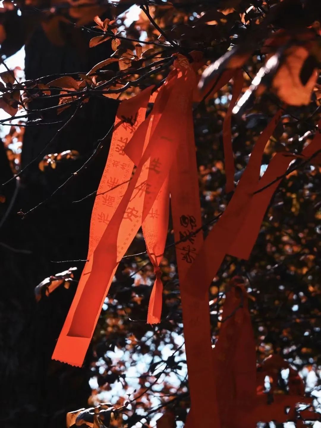 晋宁诗意的栖居地