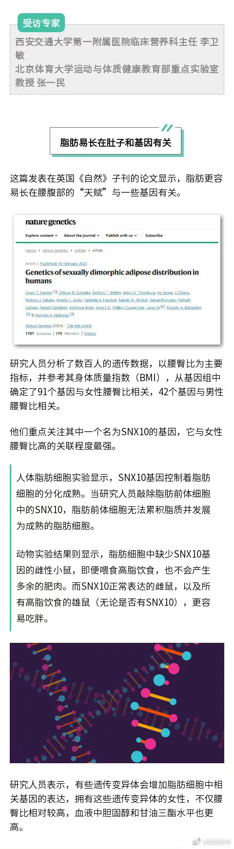 嵩明发布