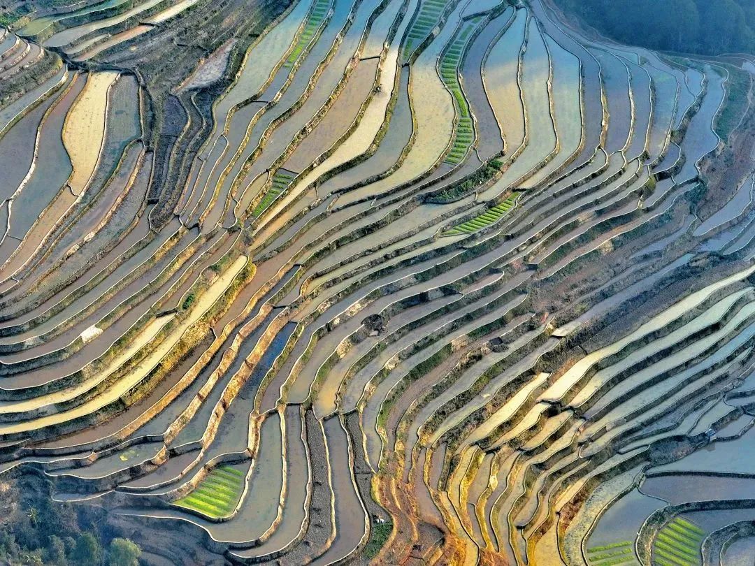 云南省文化和旅游厅