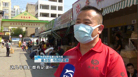 掌上春城