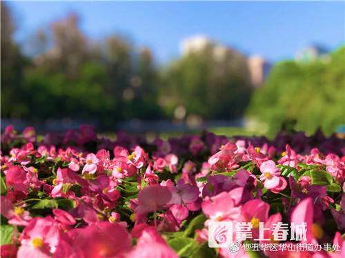 五华区华山街道办事处