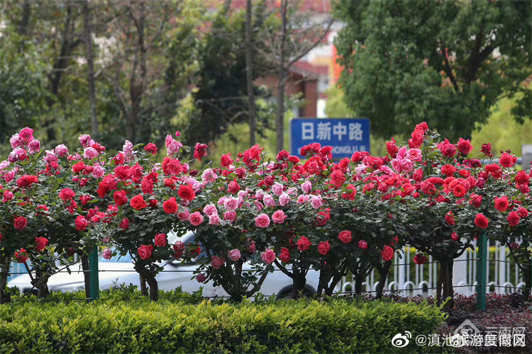 滇池旅游度假区